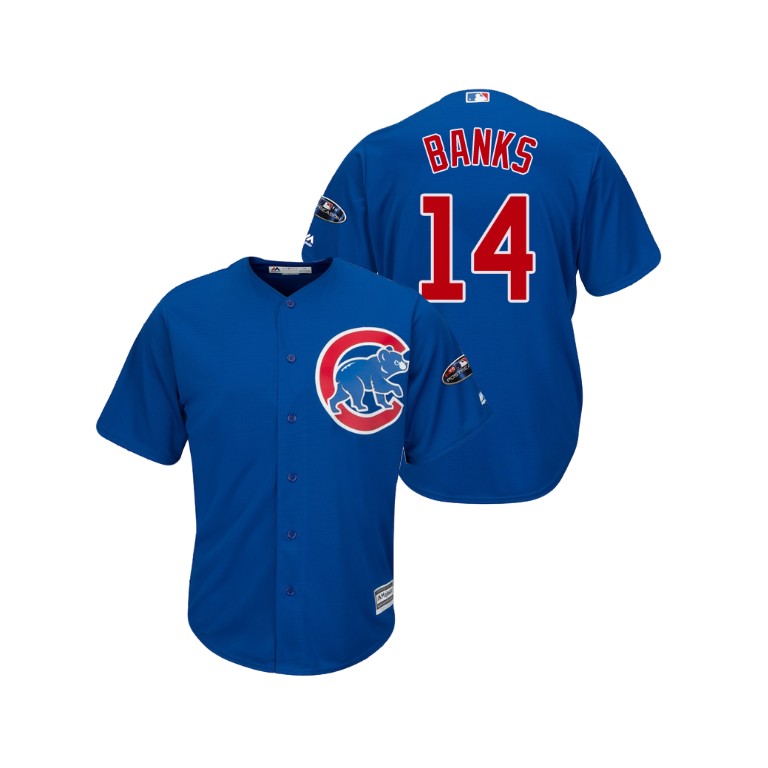 Chicago Cubs Royal #14 Ernie Banks Cool Base Jersey