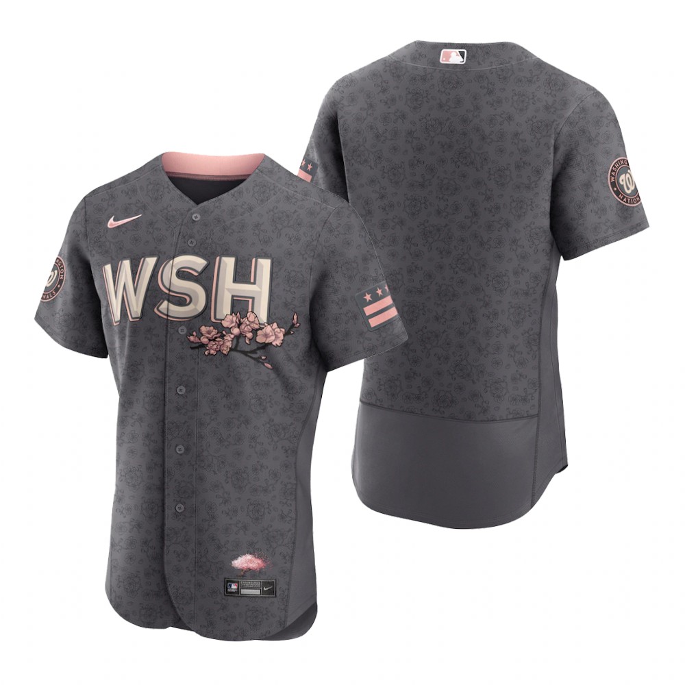 Men's Washington Nationals Gray 2022 City Connect Authentic Jersey Men's Washington Nationals Gray 2022 City Connect Authentic Jersey
