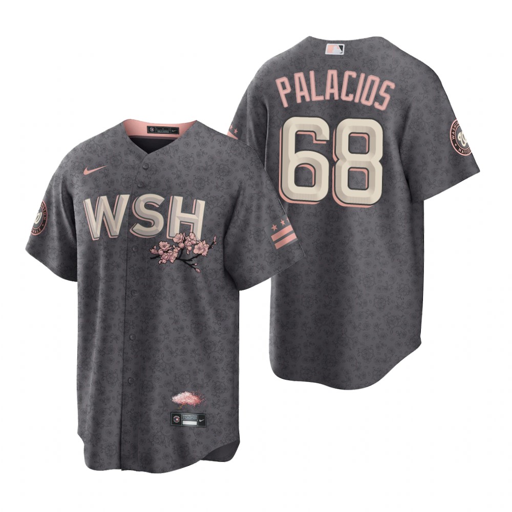 Washington Nationals Josh Palacios Gray 2022 City Connect Replica Jersey