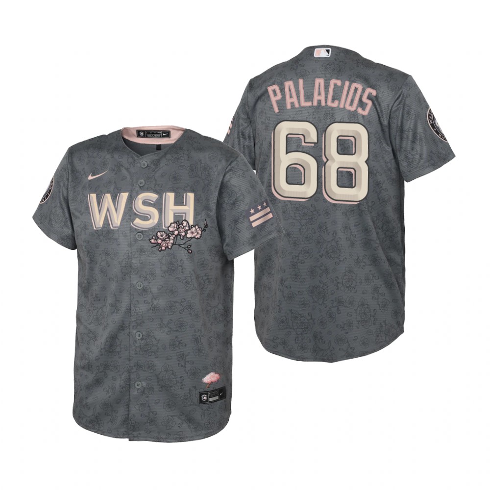 Youth Washington Nationals Josh Palacios Gray 2022 City Connect Replica Jersey