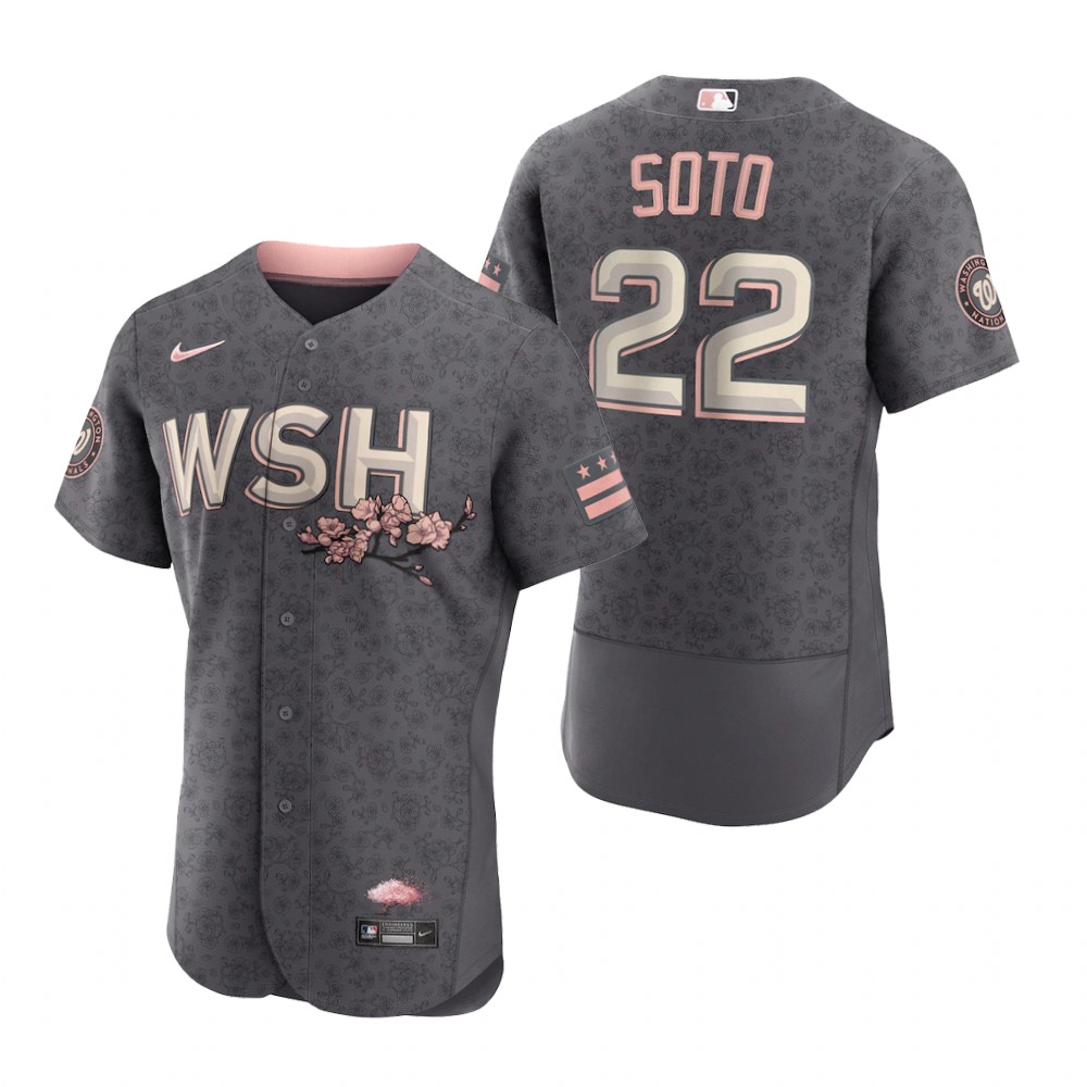Washington Nationals Juan Soto Gray 2022 City Connect Authentic Jersey