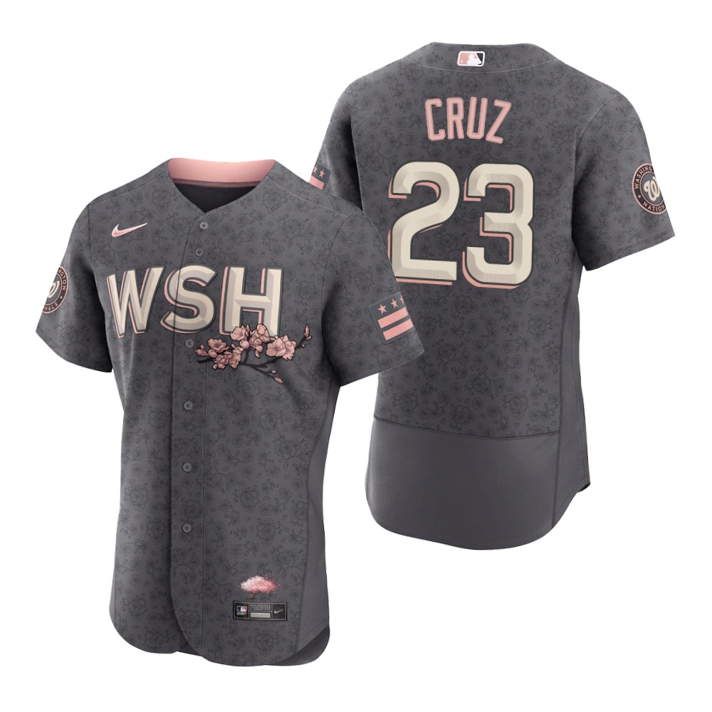 Washington Nationals Nelson Cruz Gray 2022 City Connect Authentic Jersey