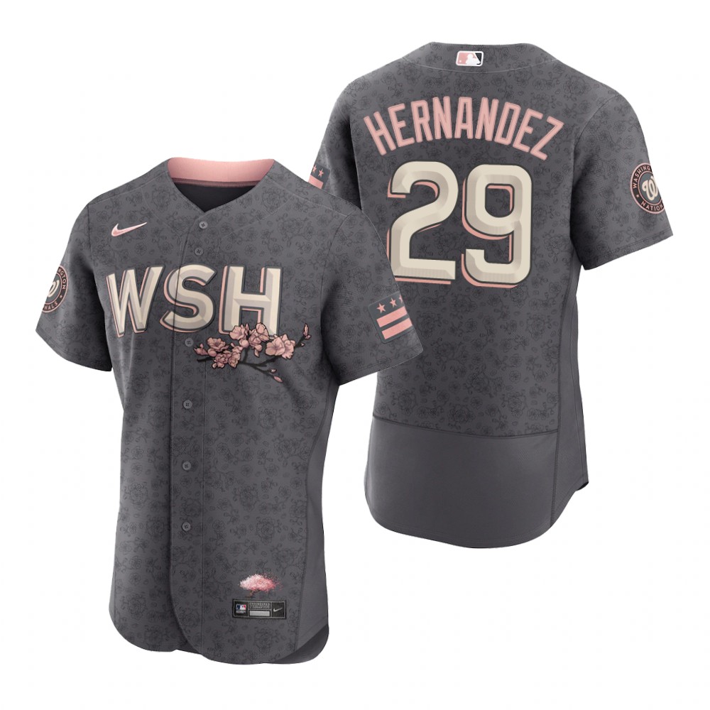 Washington Nationals Yadiel Hernandez Gray 2022 City Connect Authentic Jersey Washington Nationals Yadiel Hernandez Gray 2022 City Connect Authentic Jersey