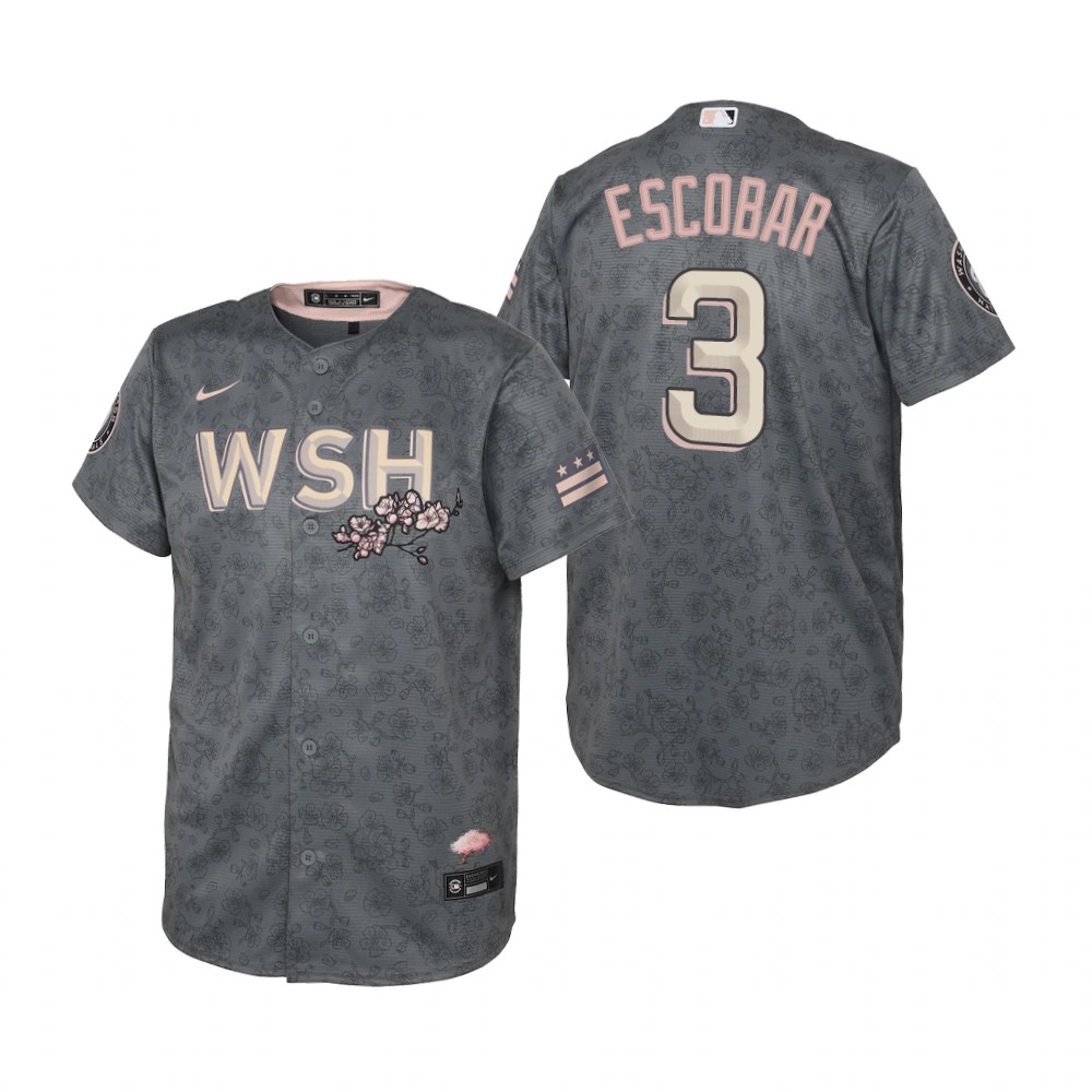 Kids Washington Nationals Alcides Escobar Nike Gray 2022 City Connect Replica Jersey Kids Washington Nationals Alcides Escobar Nike Gray 2022 City Connect Replica Jersey