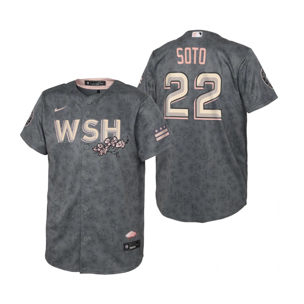 Kids Washington Nationals Juan Soto Nike Gray 2022 City Connect Replica Jersey Kids Washington Nationals Juan Soto Nike Gray 2022 City Connect Replica Jersey