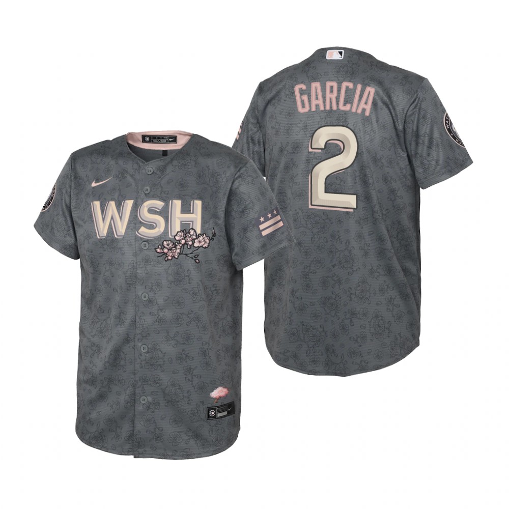 Kids Washington Nationals Luis Garcia Nike Gray 2022 City Connect Replica Jersey Kids Washington Nationals Luis Garcia Nike Gray 2022 City Connect Replica Jersey