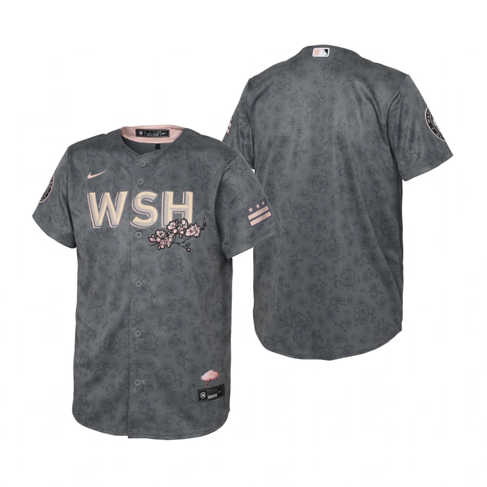 Kids Washington Nationals Nike Gray 2022 City Connect Replica Jersey Kids Washington Nationals Nike Gray 2022 City Connect Replica Jersey
