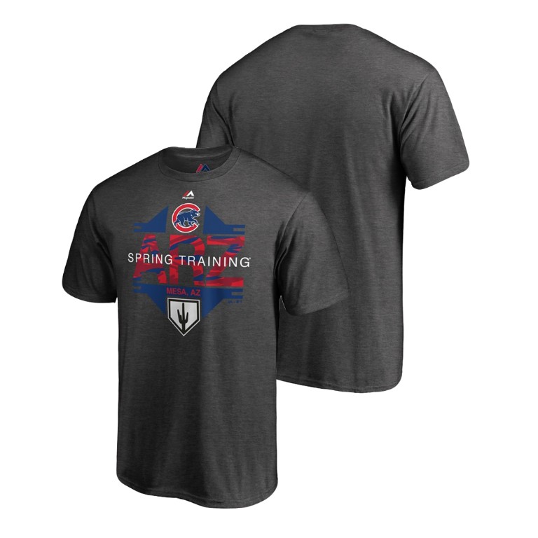 Chicago Cubs Cactus League Heather Gray Big & Tall T-Shirt 2019 Spring Training Chicago Cubs Cactus League Heather Gray Big & Tall T-Shirt 2019 Spring Training