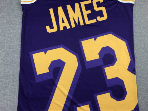 Lebron James 23 Los Angeles Lakers M&N Purple Big Face Swingman Jersey Lebron James 23 Los Angeles Lakers M&N Purple Big Face Swingman Jersey