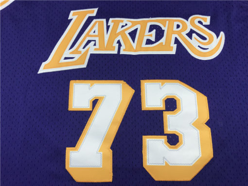 Dennis Rodman 73 Los Angeles Lakers Swingman Purple Throwback Jersey Dennis Rodman 73 Los Angeles Lakers Swingman Purple Throwback Jersey